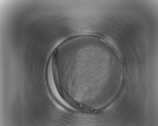 X0000066960389200604072010