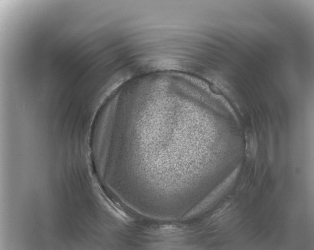 X0000066960390200604072010