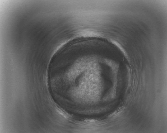 X0000066960391200604072010