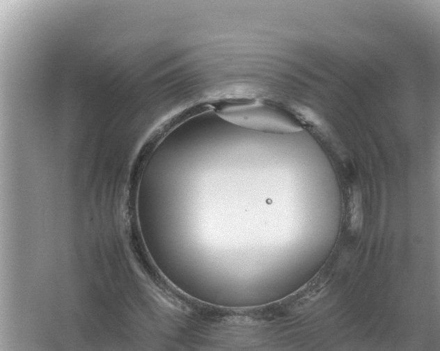 X0000066960392200604072010