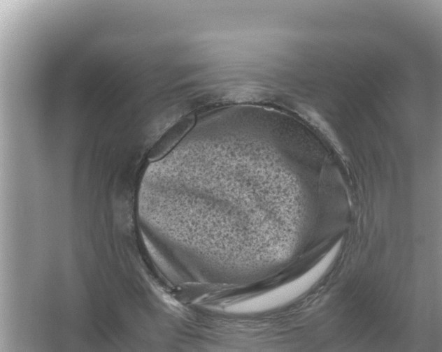 X0000066960393200604072010