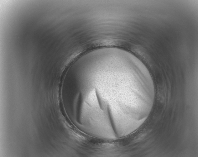 X0000066960394200604072010