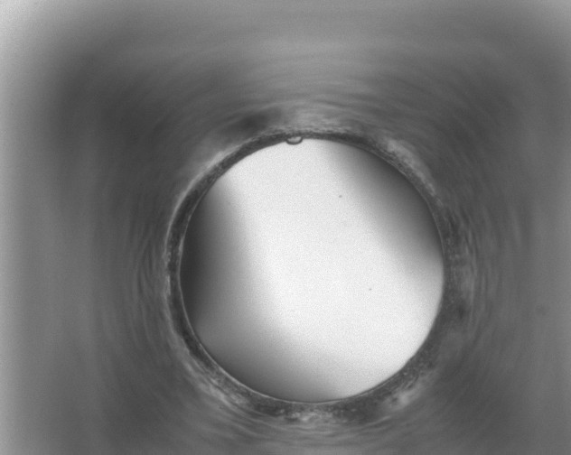 X0000066960395200604072010