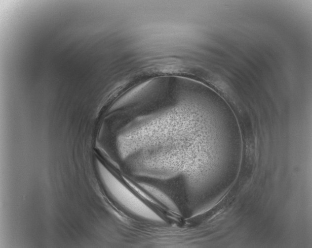 X0000066960397200604072010