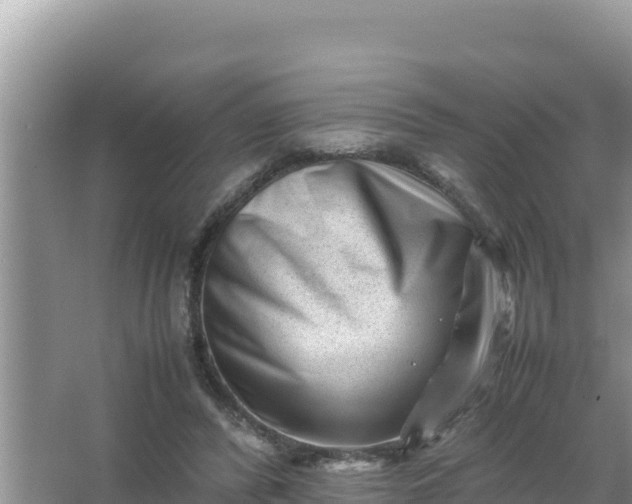 X0000066960400200604072010