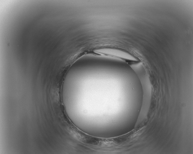 X0000066960401200604072010