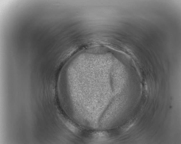 X0000066960402200604072010