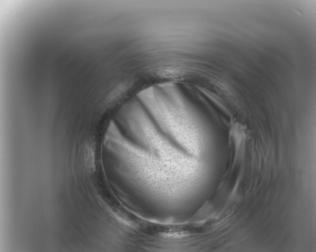 X0000066960404200604072010