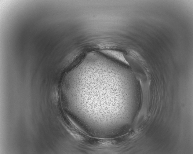 X0000066960405200604072010