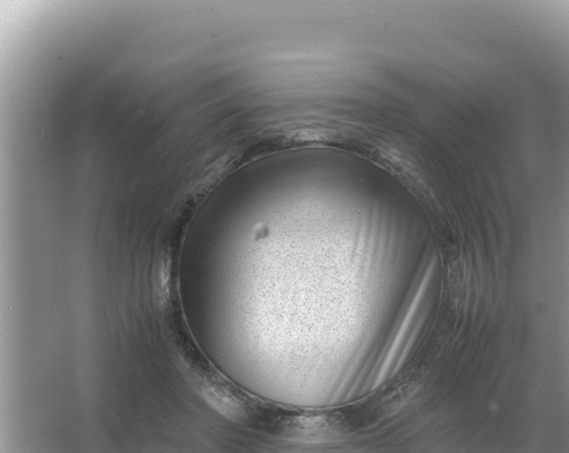 X0000066960406200604072009