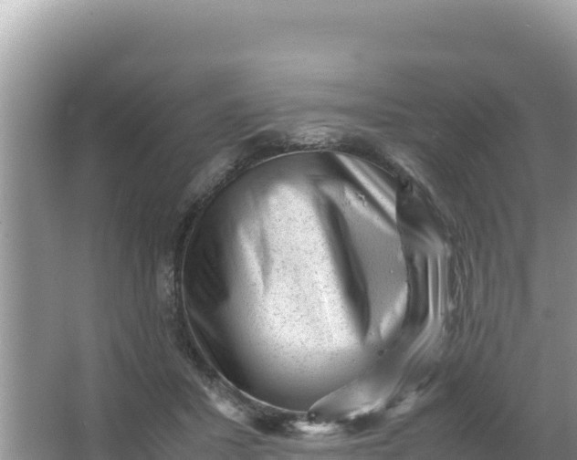 X0000066960407200604072009