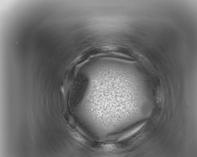 X0000066960409200604072009