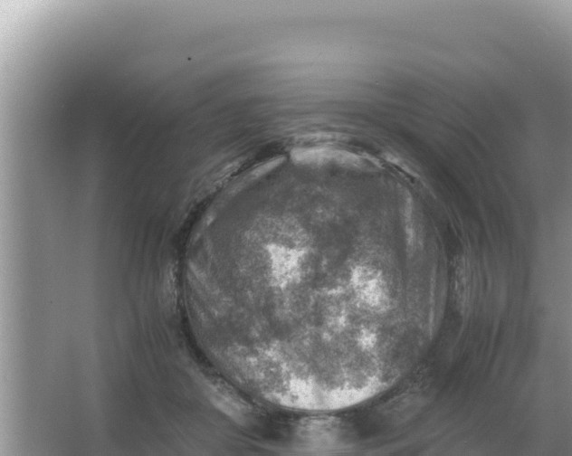 X0000066960410200604072009