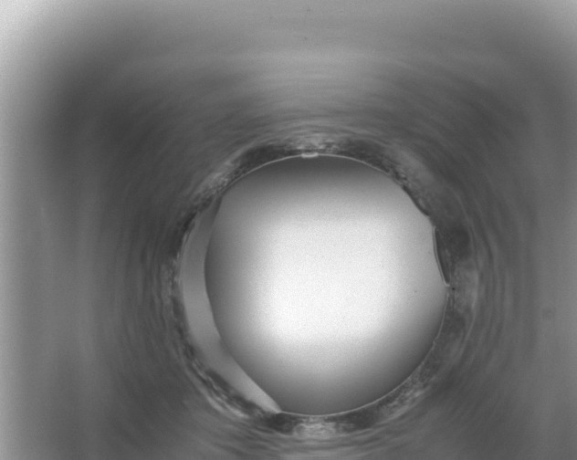 X0000066960413200604072009