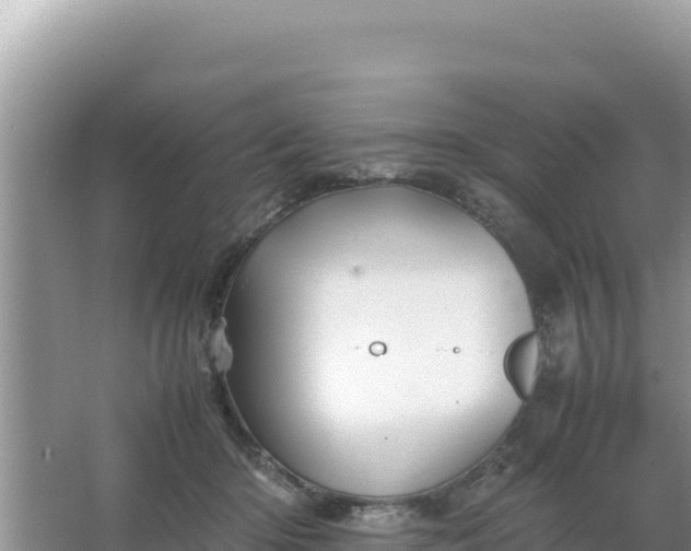 X0000066960414200604072009