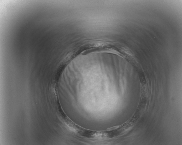 X0000066960415200604072009