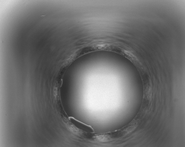 X0000066960417200604072009