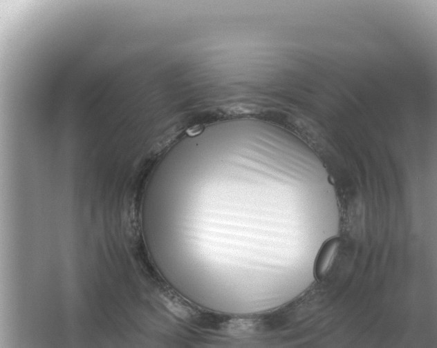 X0000066960418200604072009