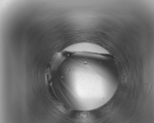 X0000066960420200604072009