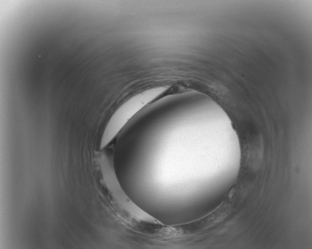 X0000066960421200604072009