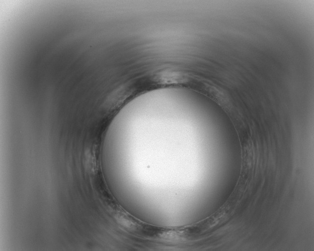 X0000066960422200604072009