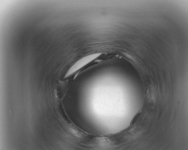 X0000066960424200604072009