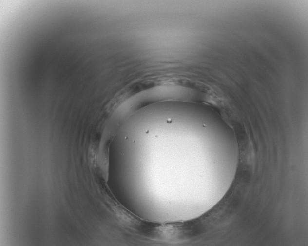 X0000066960425200604072009