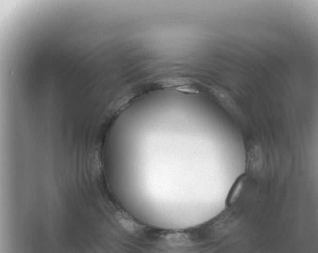 X0000066960426200604072009