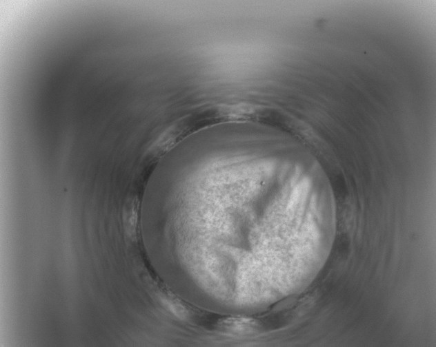 X0000066960427200604072009