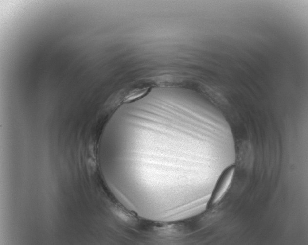 X0000066960430200604072009