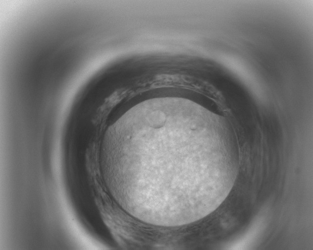 X0000066960431200604072009