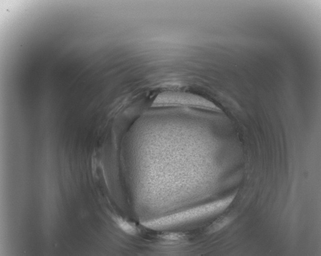 X0000066960432200604072009