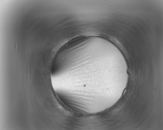 X0000066960433200604072008