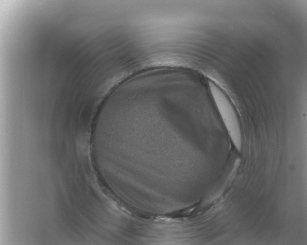 X0000066960434200604072008