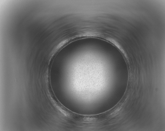 X0000066960437200604072008