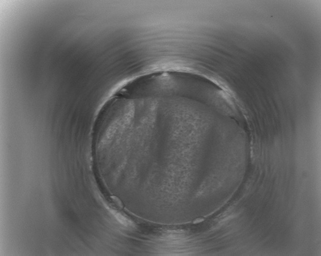 X0000066960438200604072008