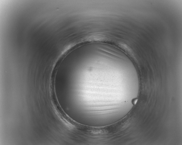 X0000066960439200604072008