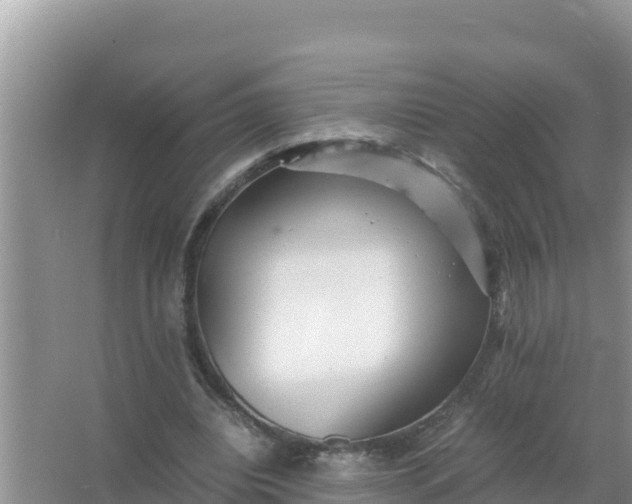 X0000066960440200604072008