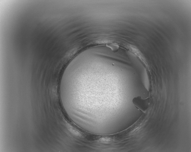 X0000066960441200604072008