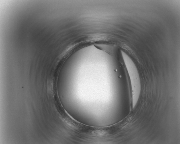 X0000066960444200604072008