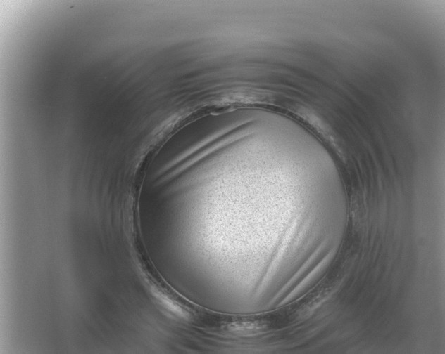 X0000066960445200604072008