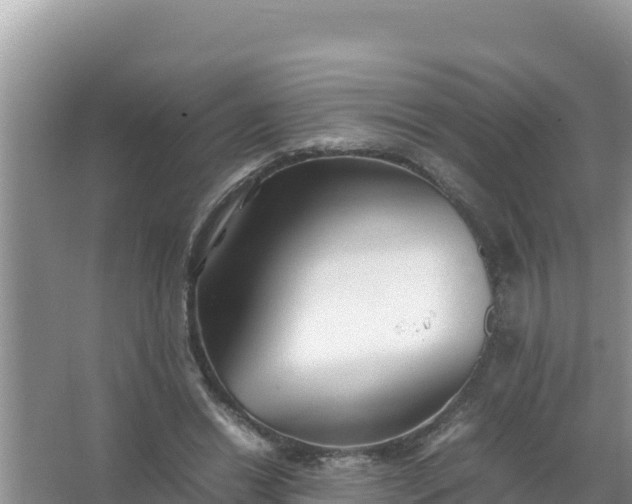 X0000066960446200604072008