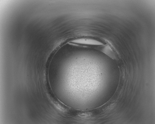 X0000066960447200604072008