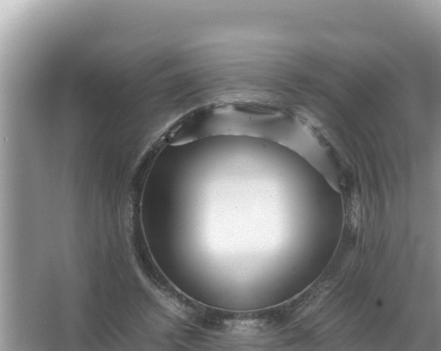 X0000066960448200604072008