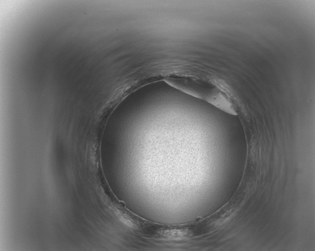 X0000066960449200604072009