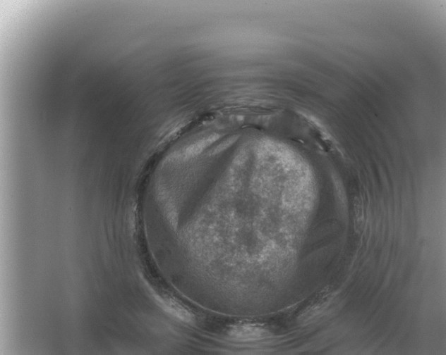 X0000066960451200604072009