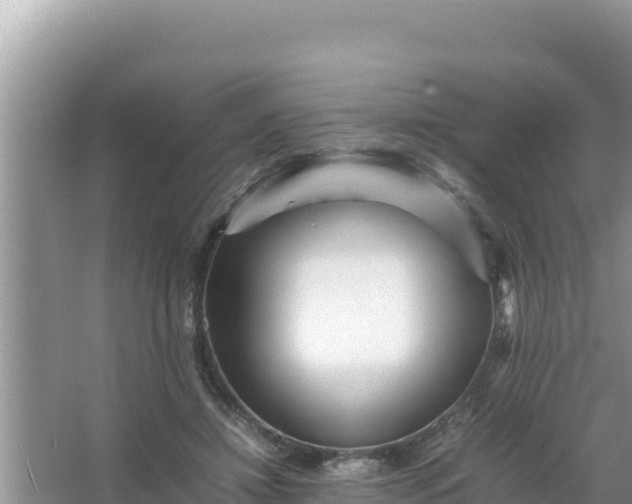 X0000066960452200604072009