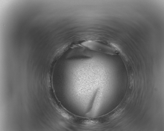 X0000066960453200604072009