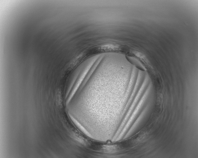 X0000066960457200604072009