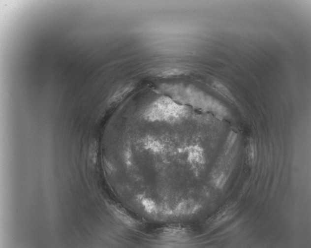 X0000066960458200604072009